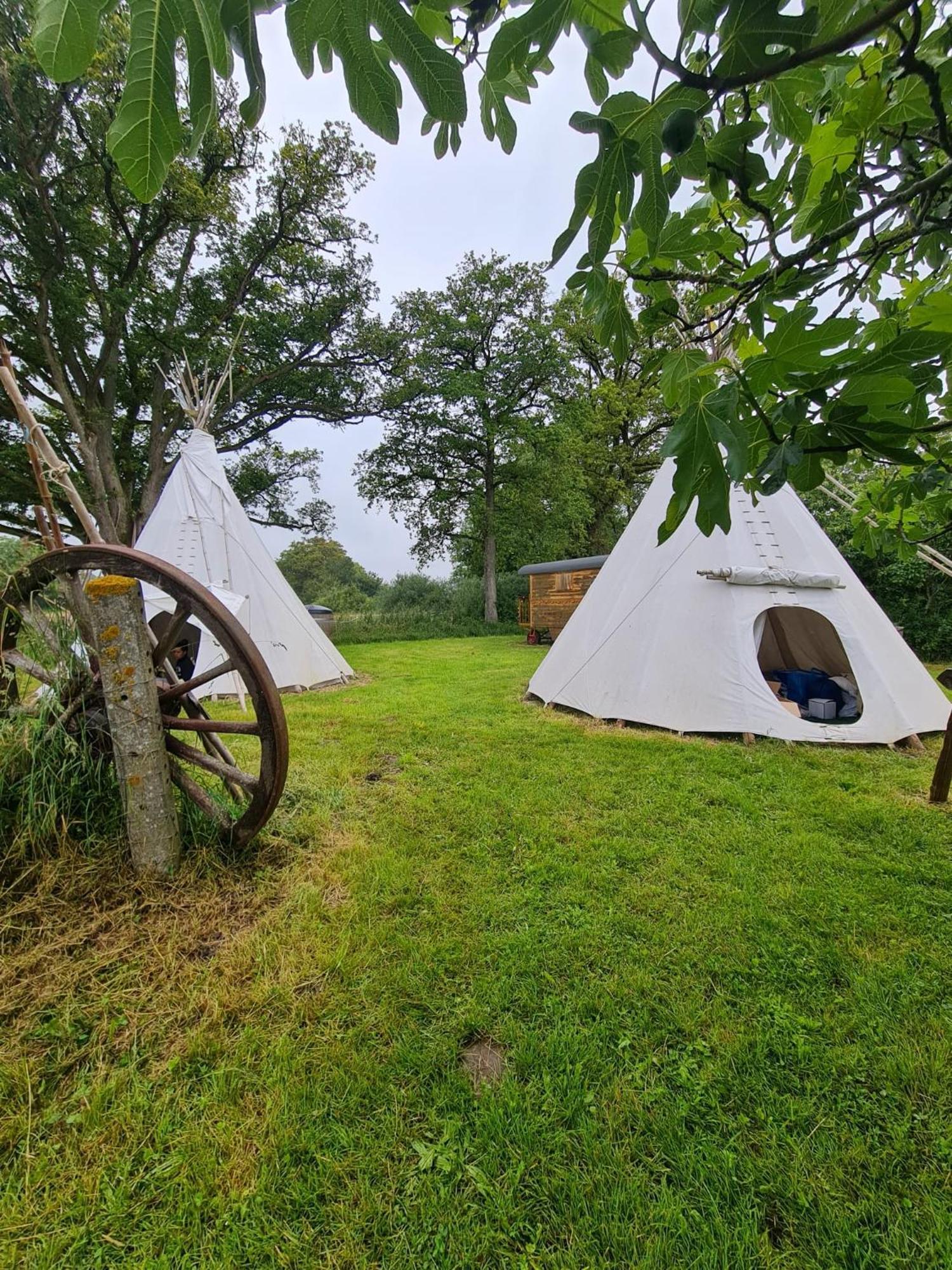 La Roulotte Du Clos De L'Isop Bed & Breakfast Saint-Martial-sur-Isop Bagian luar foto